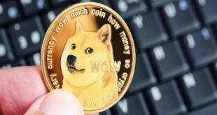 Dogecoin (DOGE) переживает резкую коррекцию: анализ текущей ситуации и перспектив