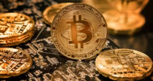 Биткоин демонстрирует восстановление после нахождения поддержки