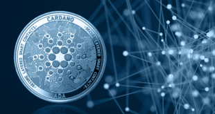 В Cardano произошло разделение истории блокчейна